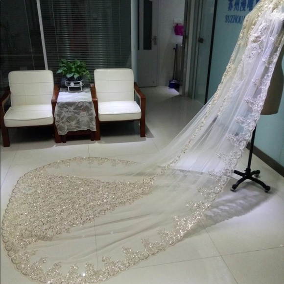 NEW Beautiful cathedral veil with sequin lace - Picture 2 of 8